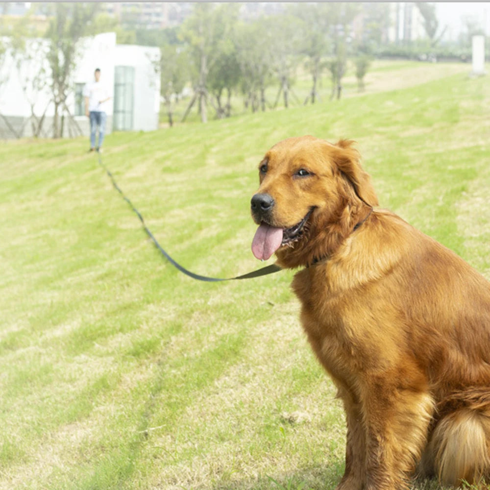 Rope Leash With Comfort Handle