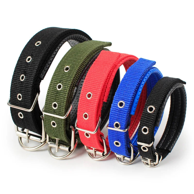 Adjustable Nylon Strap Dog Collar