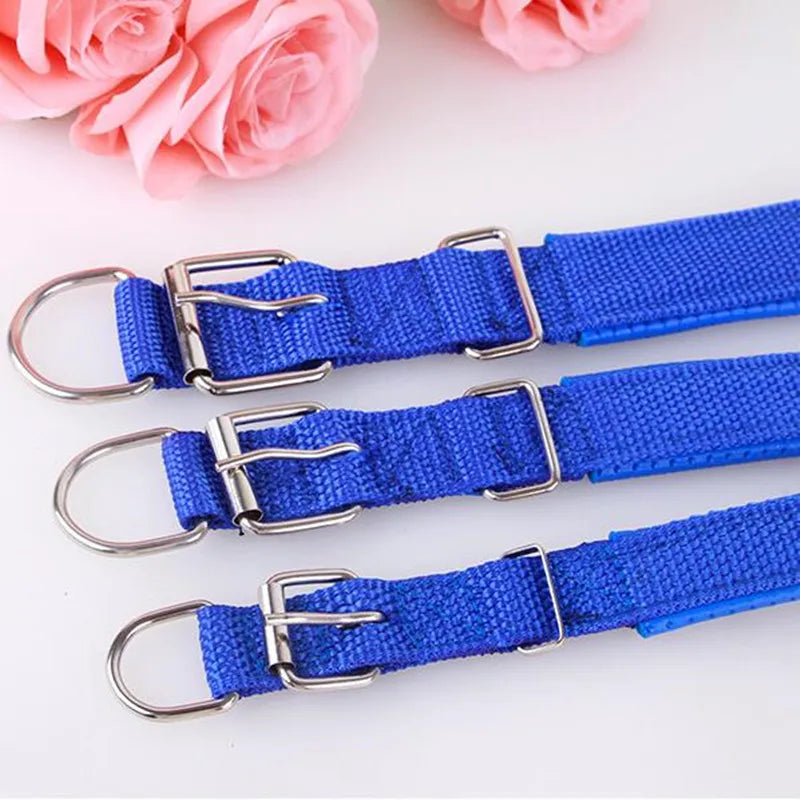 Adjustable Nylon Strap Dog Collar