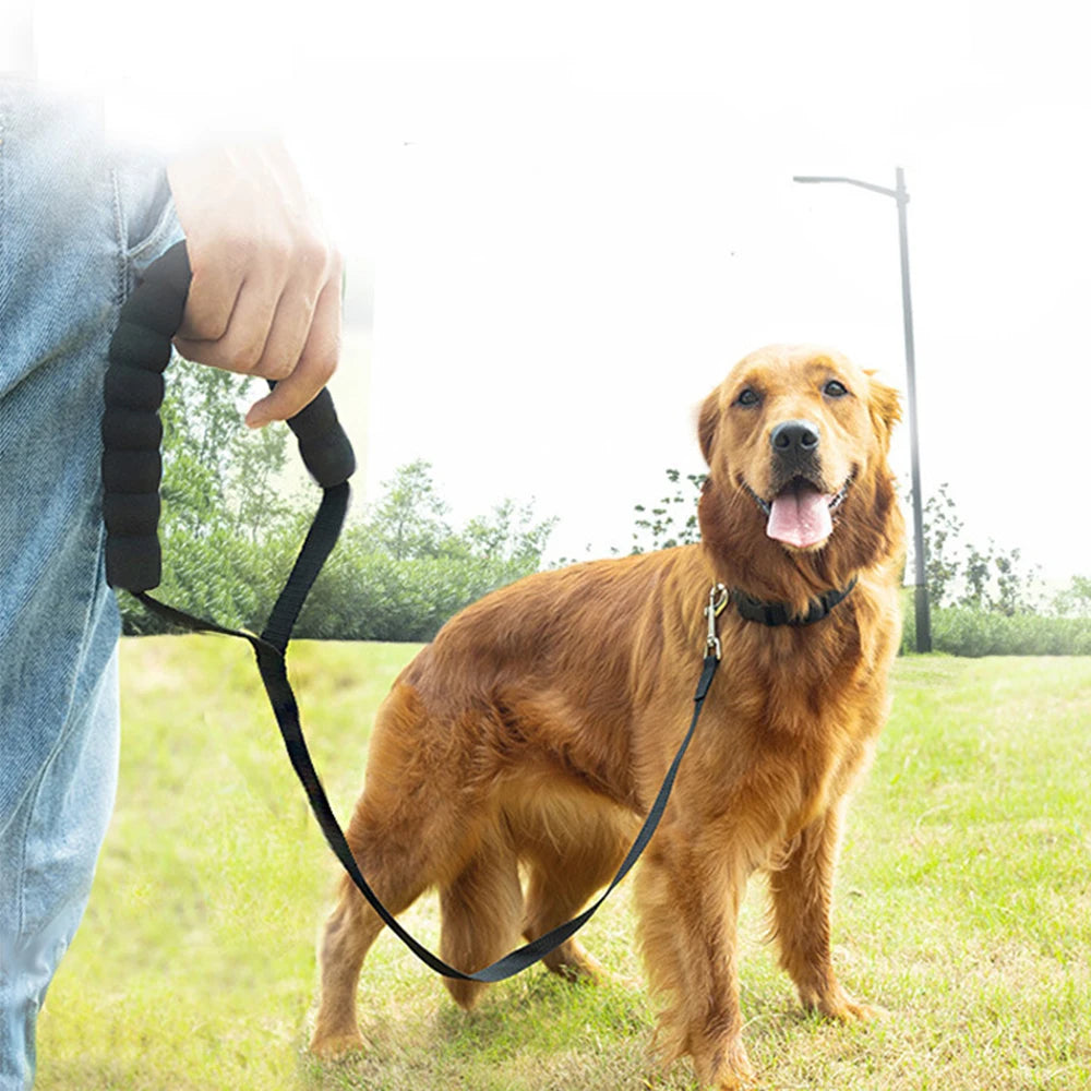 Rope Leash With Comfort Handle