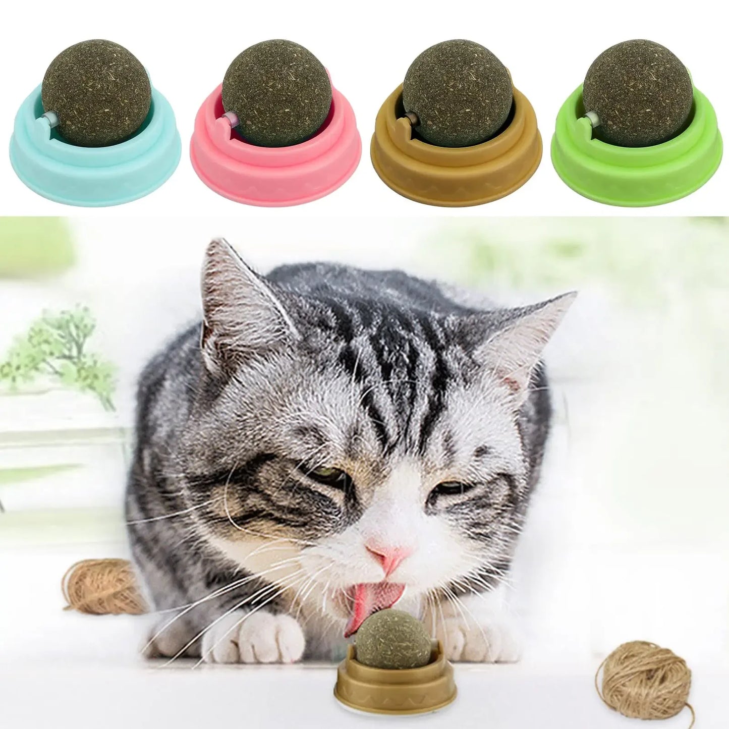 Catnip Wall Ball