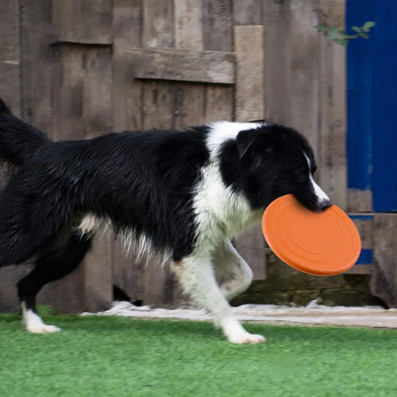 Silicone Flying Saucer