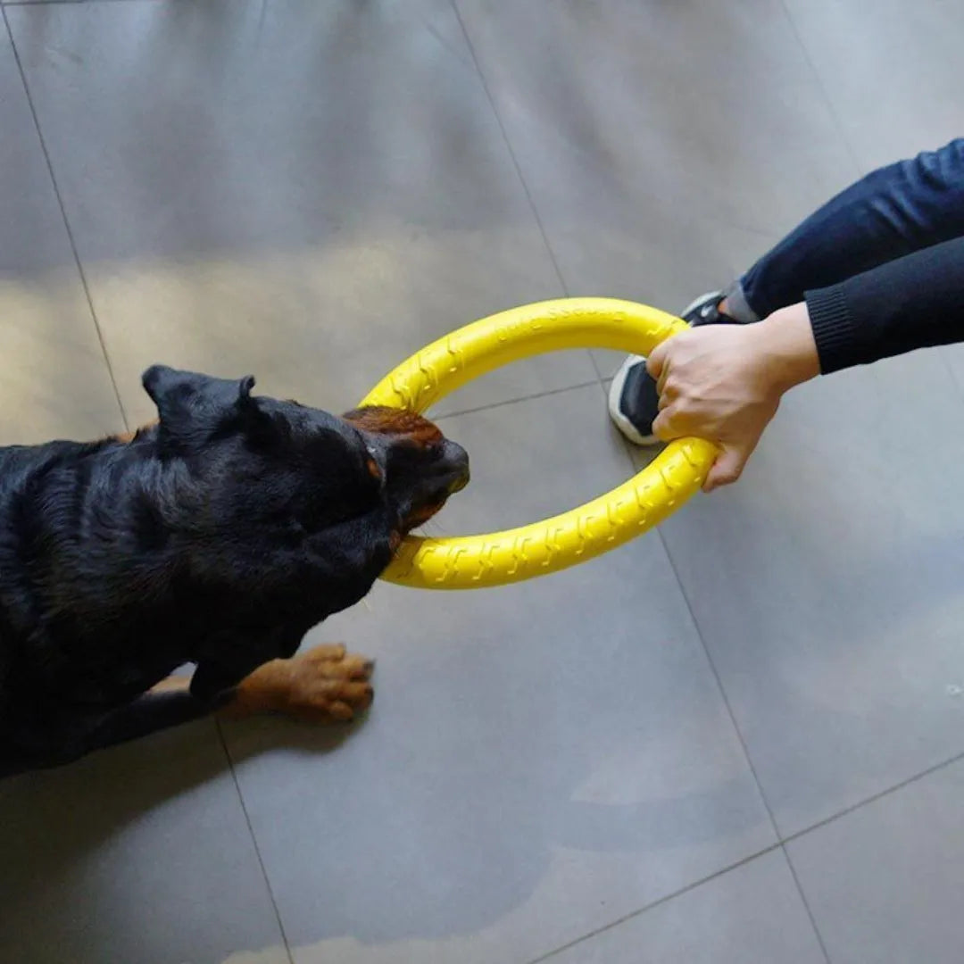 Indestructible Ring Dog Chew Toy