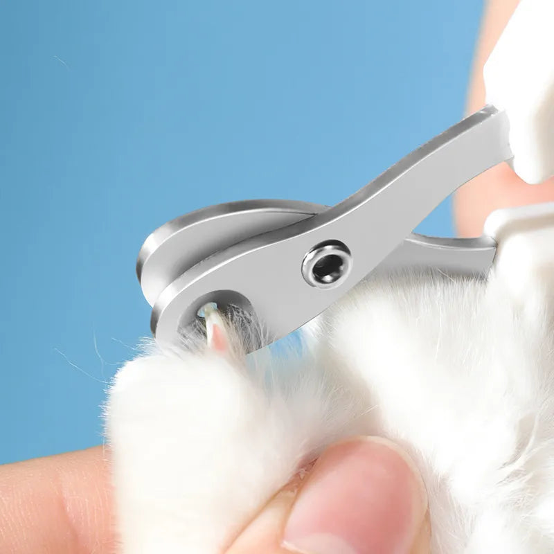 Professional Pet Nail Scissors