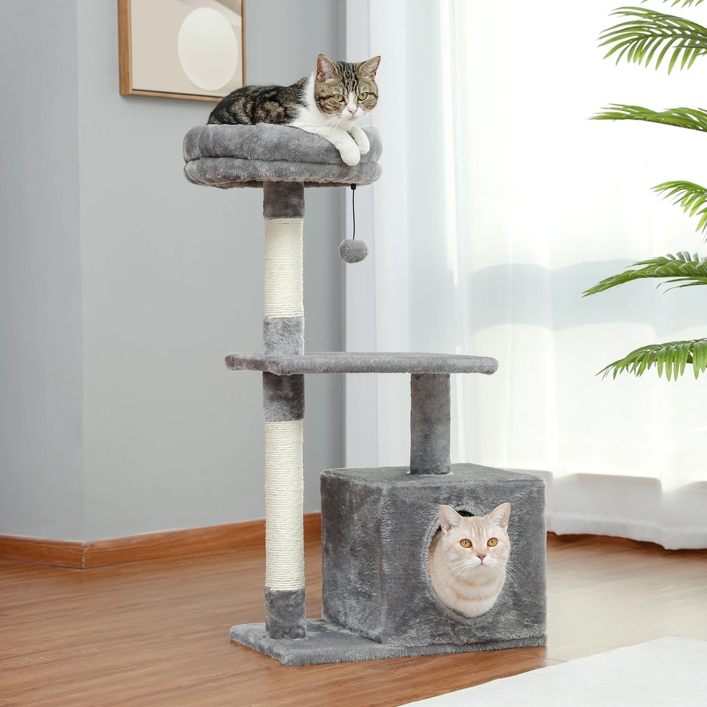 Large Cat Condos