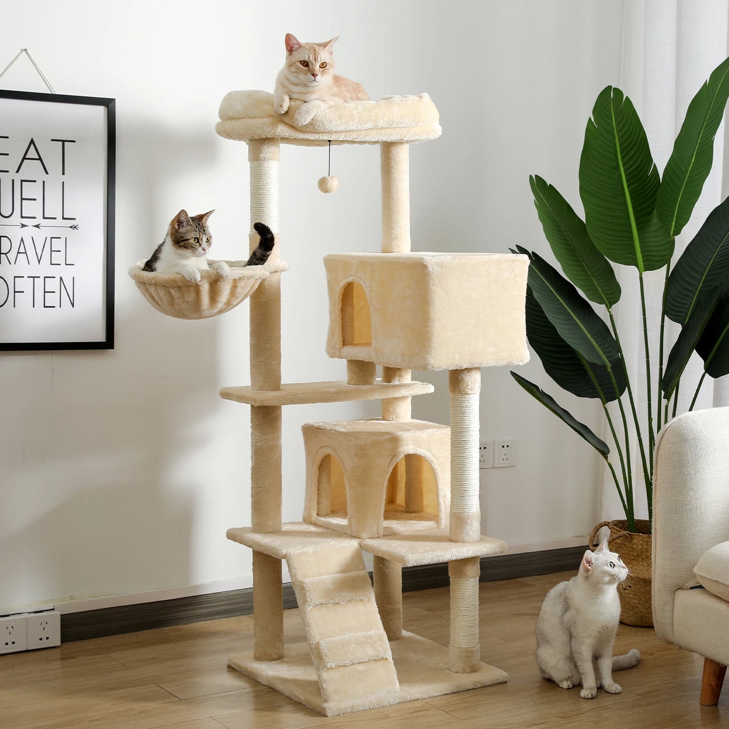 Large Cat Condos