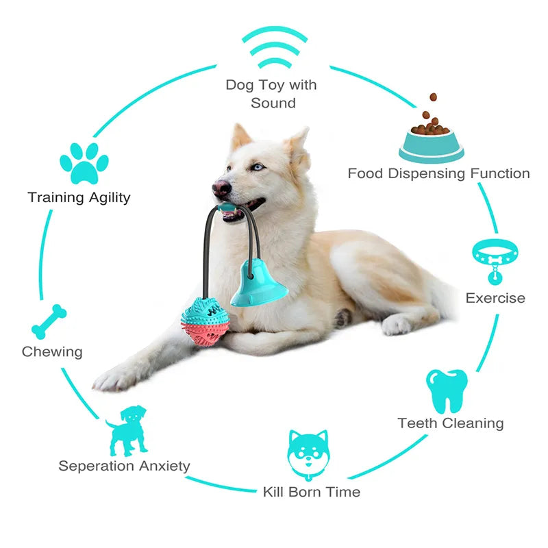 Interactive Suction Cup Treat Toy