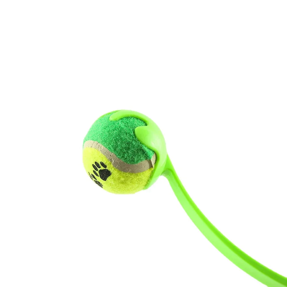 Pet Tossing Ball Toy