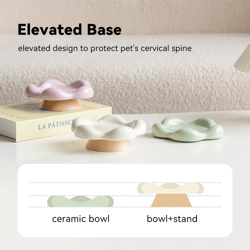 Decorative Elevated Ceramic Food Bowl