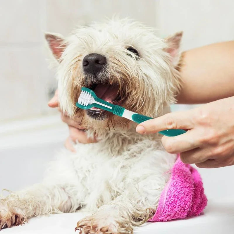 3-Sided Doggy Toothbrush