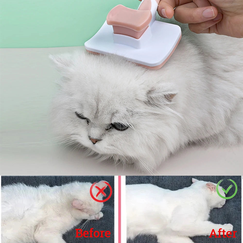 Grooming Brush