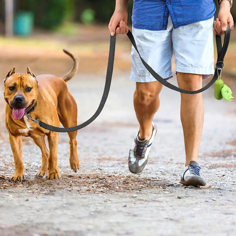 Reflective Leash