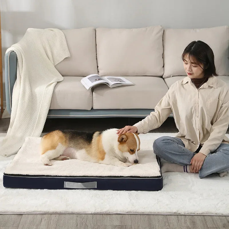 Plush Memory Foam Dog Bed