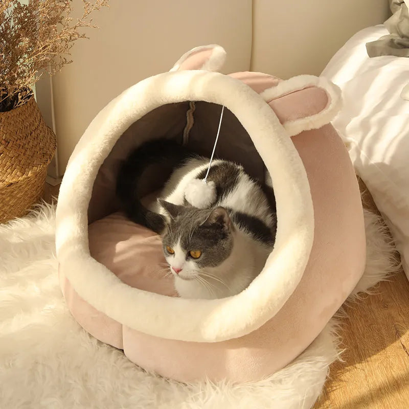 Deep Sleep Cartoon Cat Bed