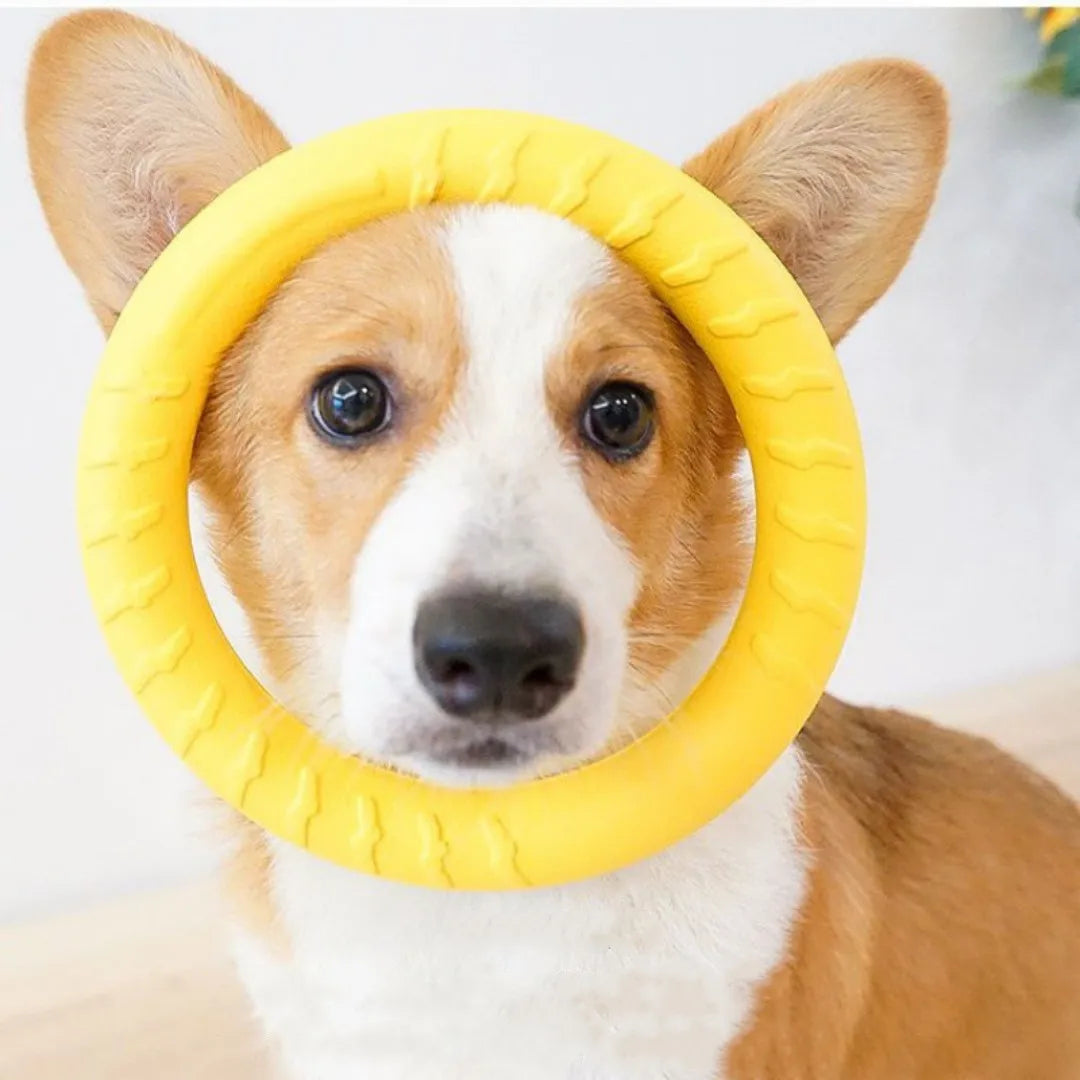 Indestructible Ring Dog Chew Toy