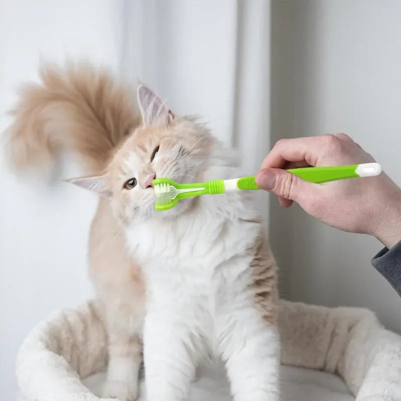 3-Sided Doggy Toothbrush