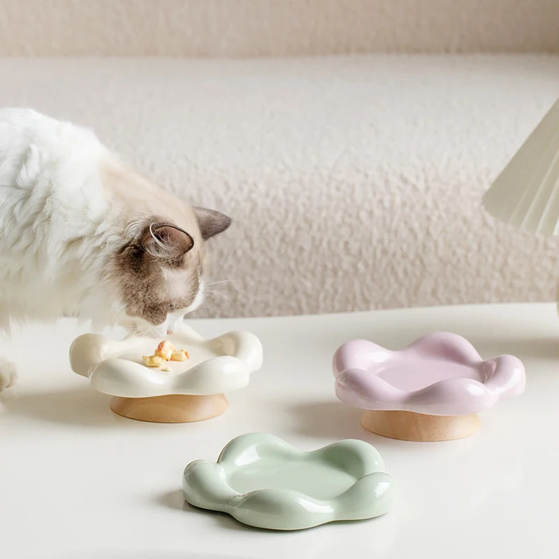 Decorative Elevated Ceramic Food Bowl